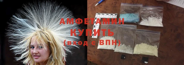 индика Алексин