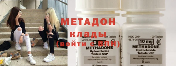 индика Алексин