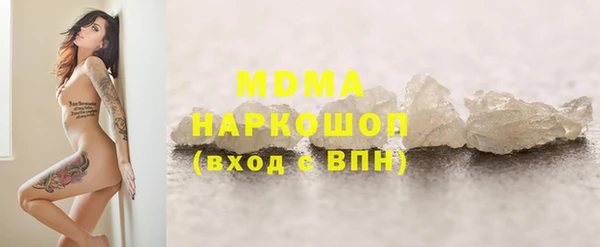 индика Алексин