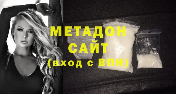 индика Алексин