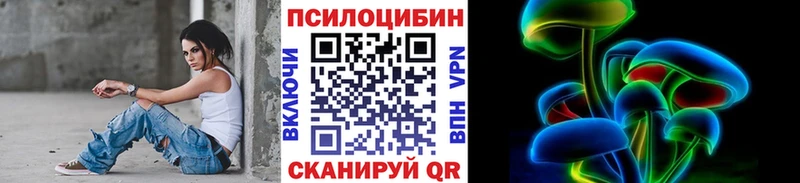 Псилоцибиновые грибы Psilocybe  закладка  omg зеркало  Кемерово 