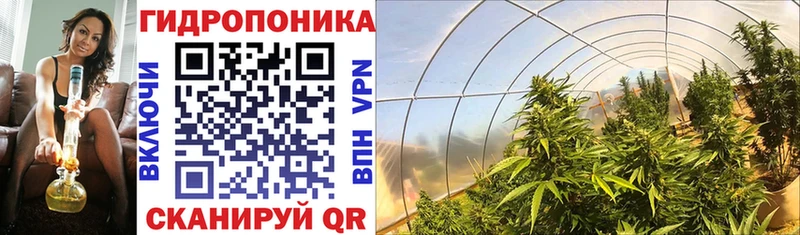 Бошки Шишки Bruce Banner Кемерово
