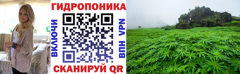Канабис THC 21%  где продают   Кемерово 